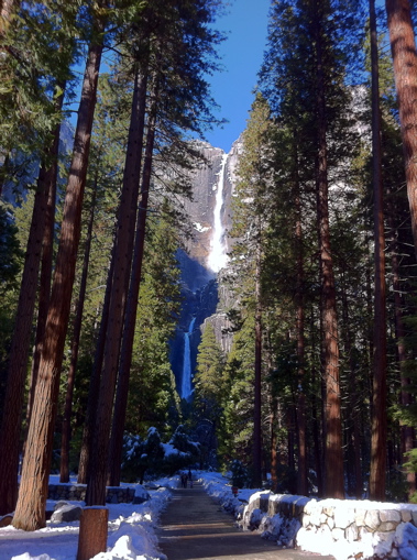 Yosemite Fall 739.jpg